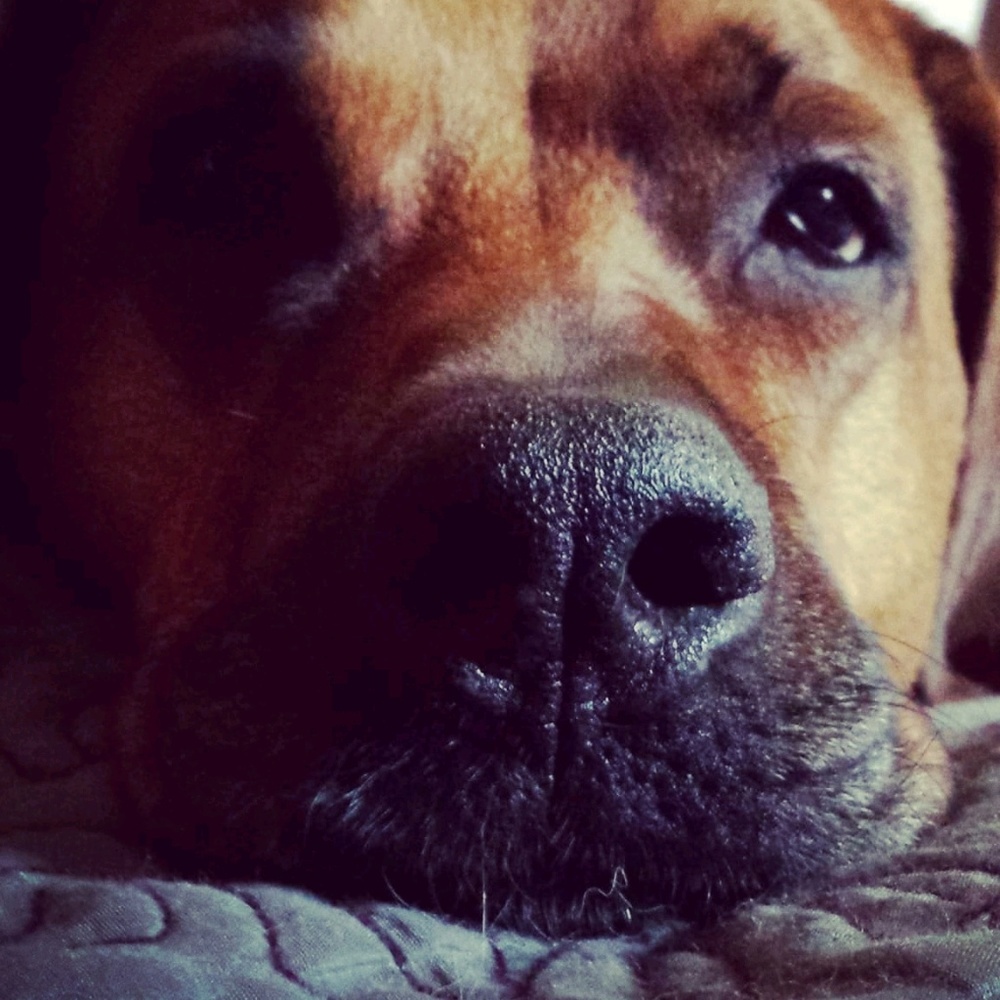 Meet your Posher, Becca